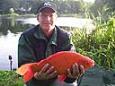 Goudvis mark de hoog 6 pond