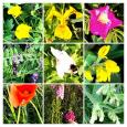 9FBAFC61-A454-439D-8672-1D23A4BE3086-COLLAGE
