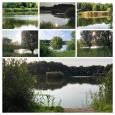 E5D527E6-CE12-4FA9-B664-3B3D114E1F7F-COLLAGE