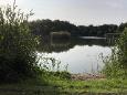IMG 1244