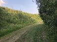 IMG 1254