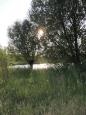 IMG 1257
