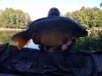 IMG-20200919-WA0001.jpg
