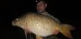 IMG-20201113-WA0001.jpg