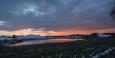 DSC_5088.jpg
