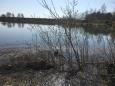 IMG-20210331-WA0003.jpg