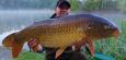 IMG-20210513-Jojo 30 pond.jpg