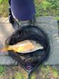 IMG-20250416-WA0003.jpg