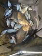 IMG-20250419-WA0003.jpg
