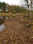 Opschonen eiland