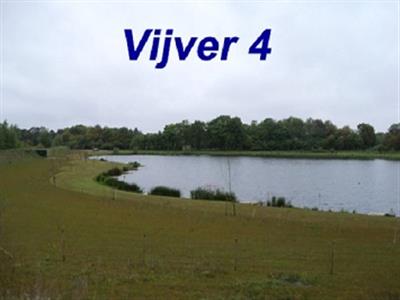 vijver 4